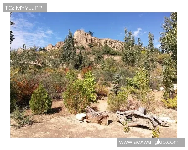 重温辉煌岁月的足球传奇人物与他们的历史足迹